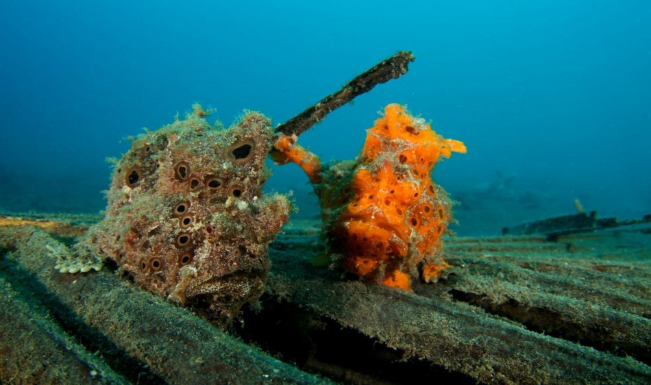 NAD Lembeh Resort - Diving Holidays