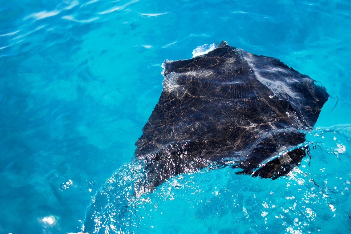 Extra Divers - Diving Holidays Extra Divers - Diving Holidays