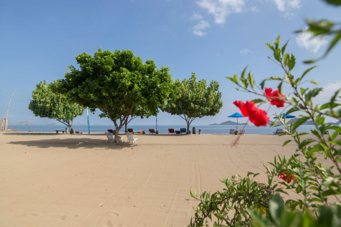 Puri Sari Beach Hotel - Diving Holidays