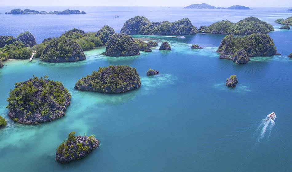 Papua Paradise Eco Resort - Diving Holidays