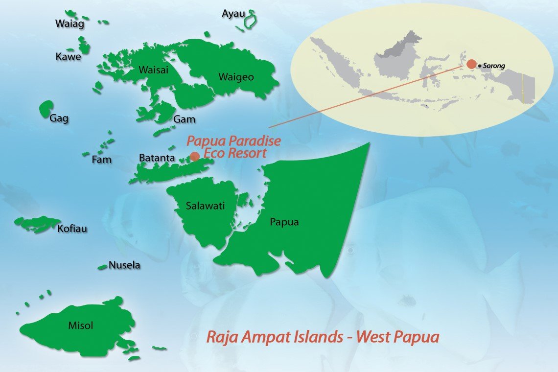 Papua Paradise Eco Resort - Diving Holidays