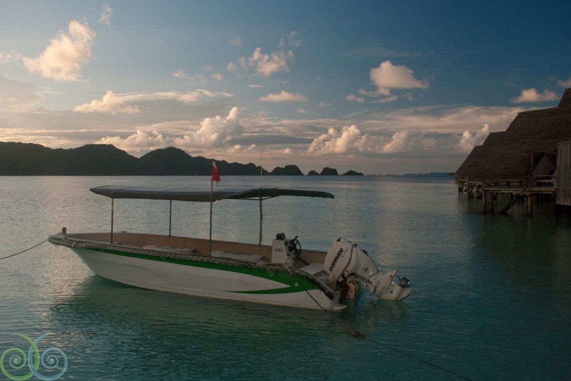 Misool Eco Dive Resort - Diving Holidays