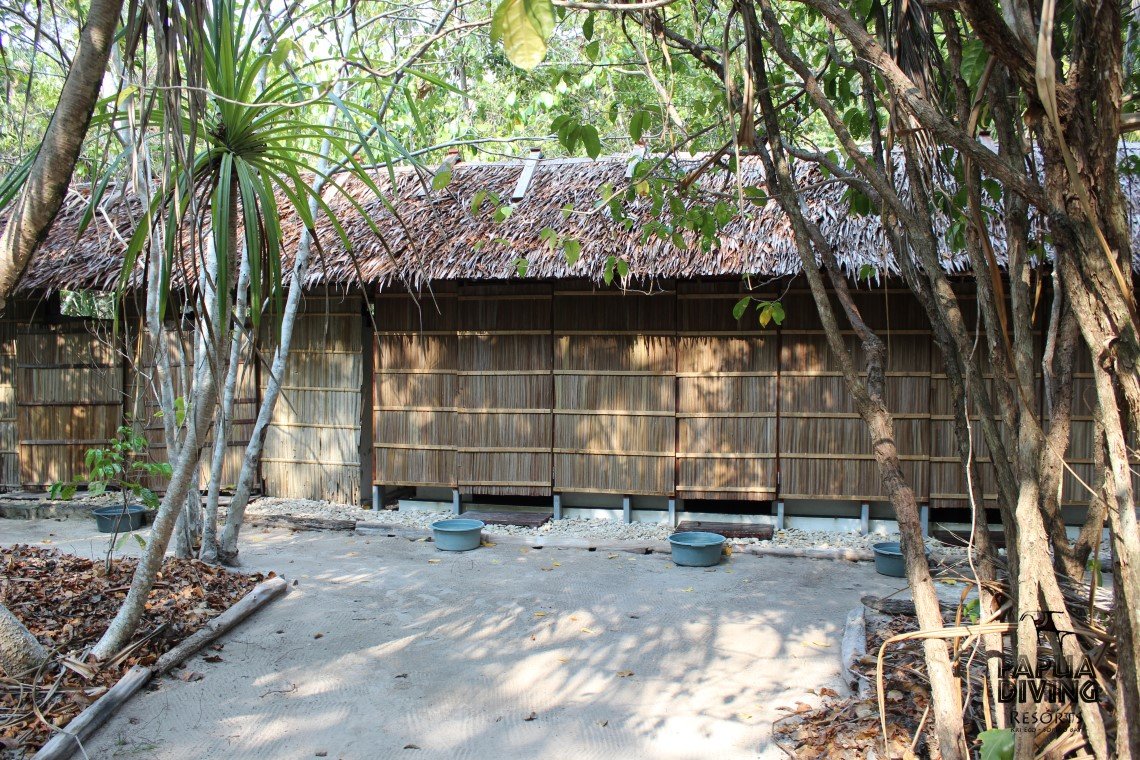 Kri Eco Resort - Gedeelde badkamer