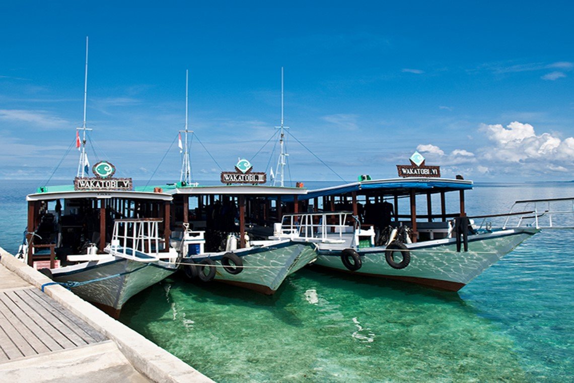 Wakatobi Dive Resort - Diving Holidays