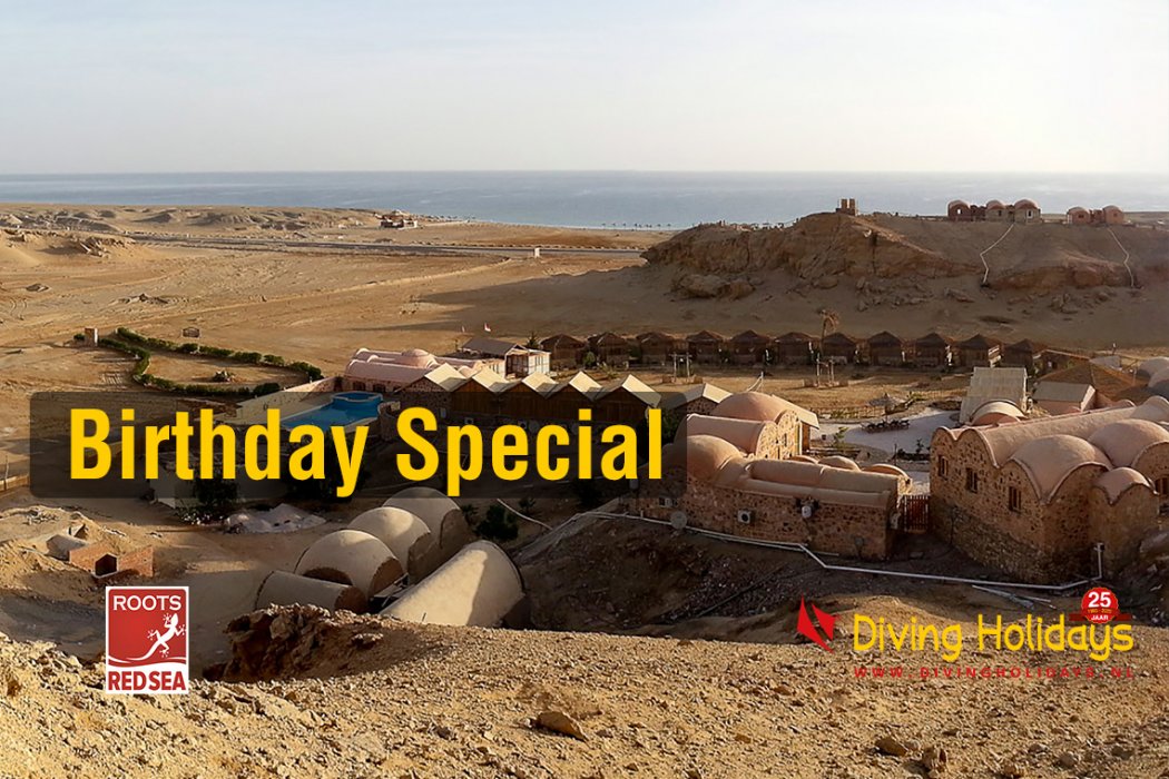 Roots Red Sea Birthday Special Roots Red Sea Birthday Special
