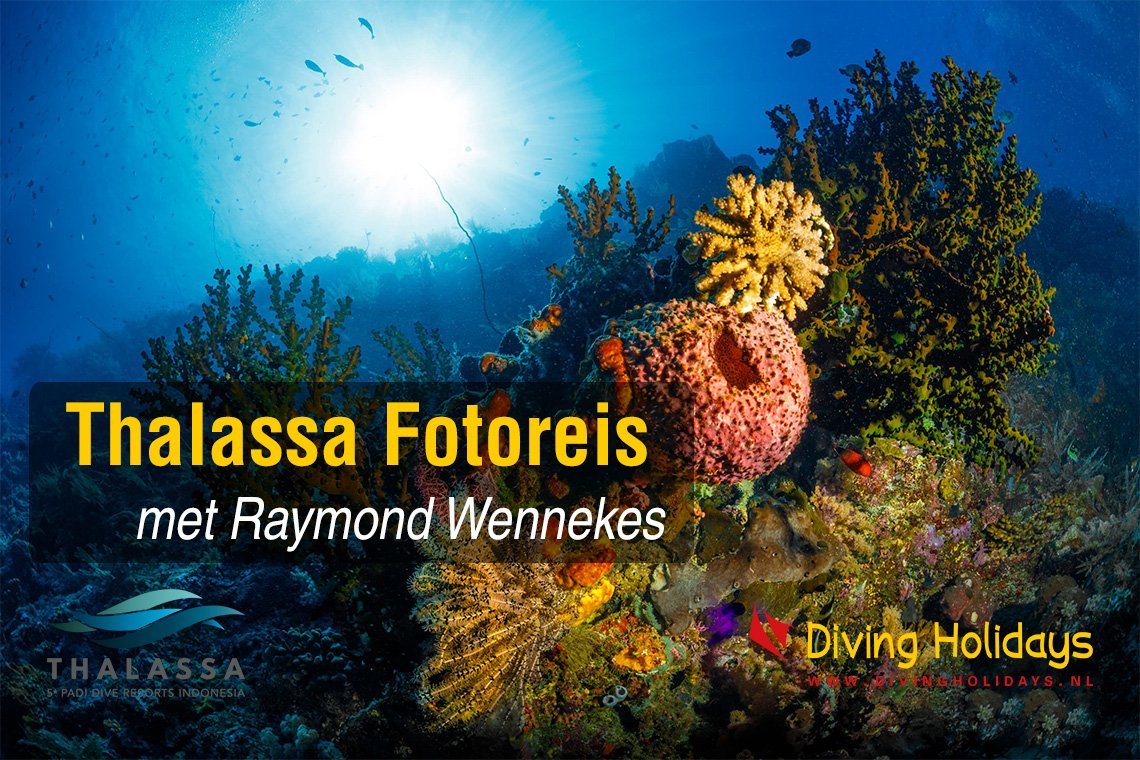 Thalassa fotoreis met Raymond Wennekes Thalassa fotoreis met Raymond Wennekes