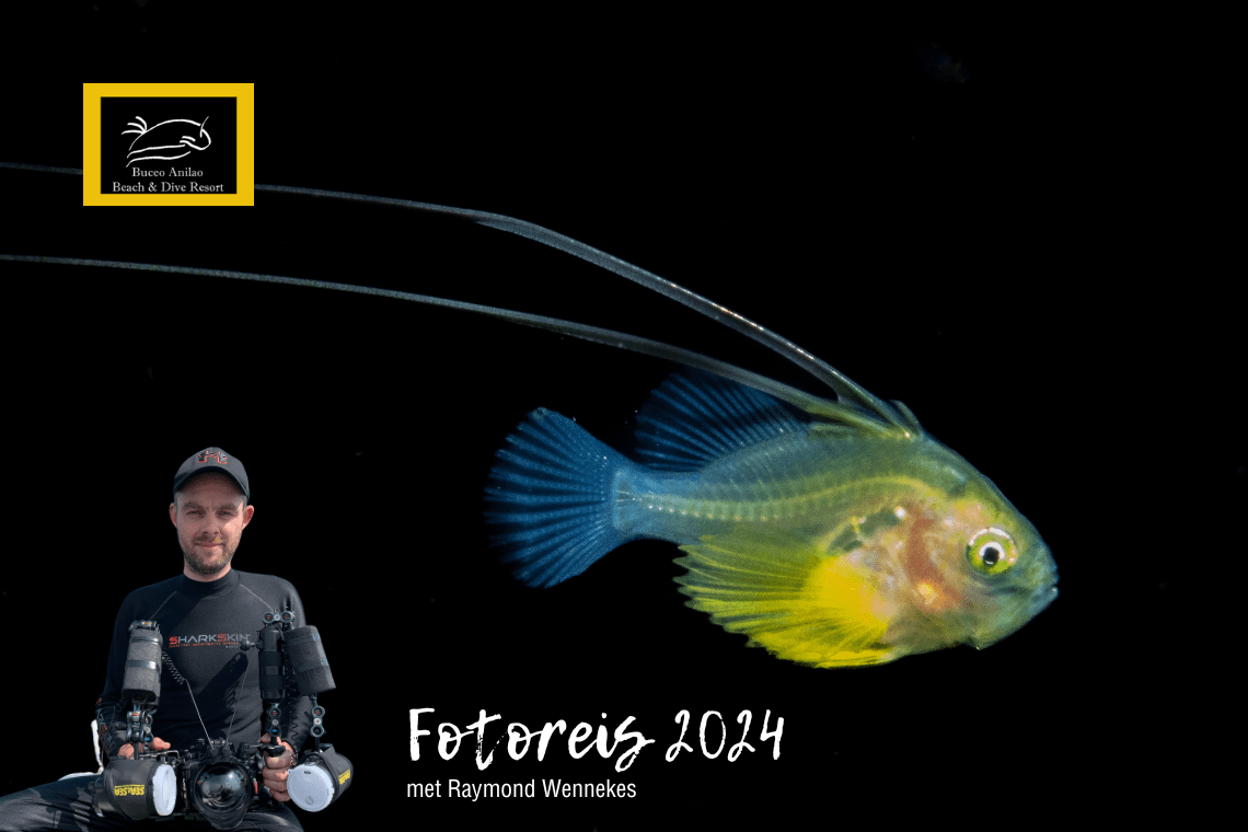 Fotoreis Raymond Wennekes 2024 Fotoreis Raymond Wennekes 2024