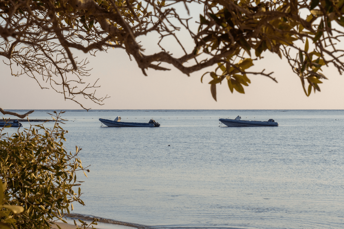 Red Sea Diving Safari - Wadi Lahami