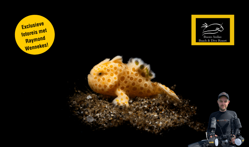 Diving Holidays Duikvakanties - Fotoreis Raymond Wennekes 2024