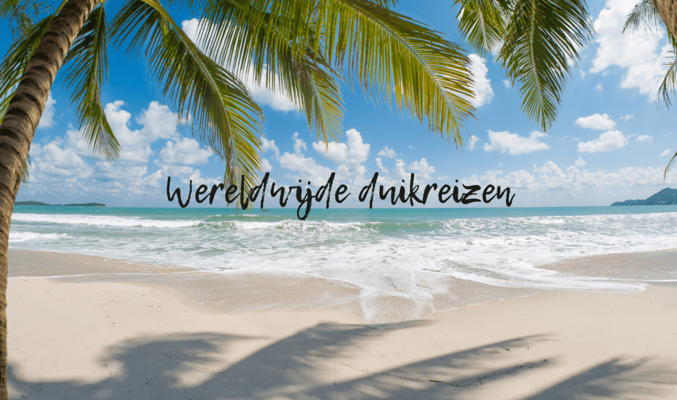 Vacatures Diving Holidays