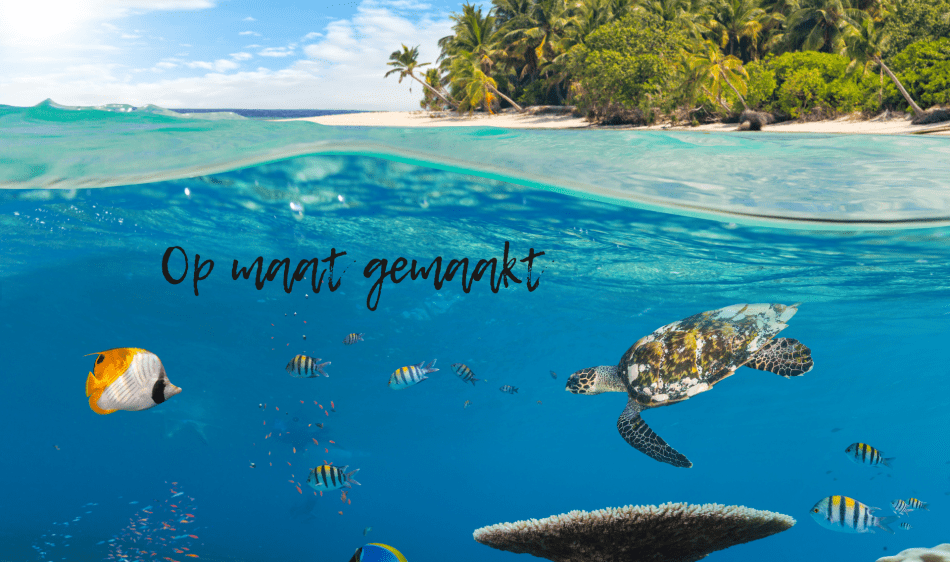 Vacatures Diving Holidays