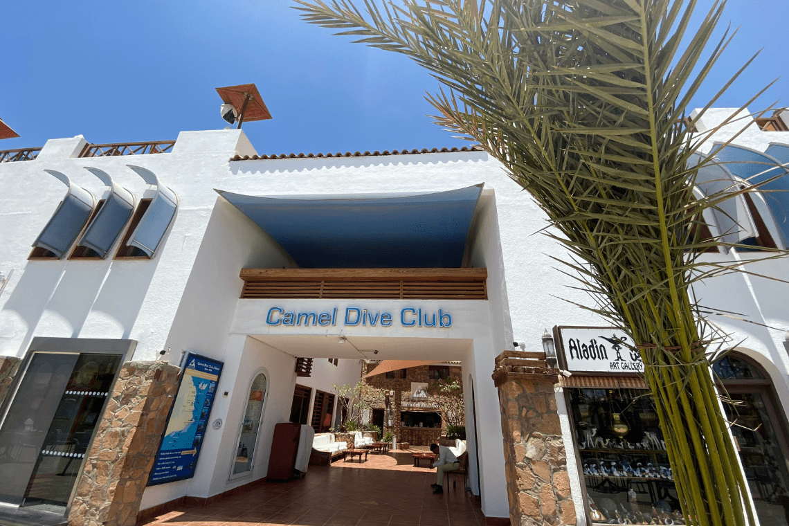 Camel Dive Club & Hotel - Diving Holidays 