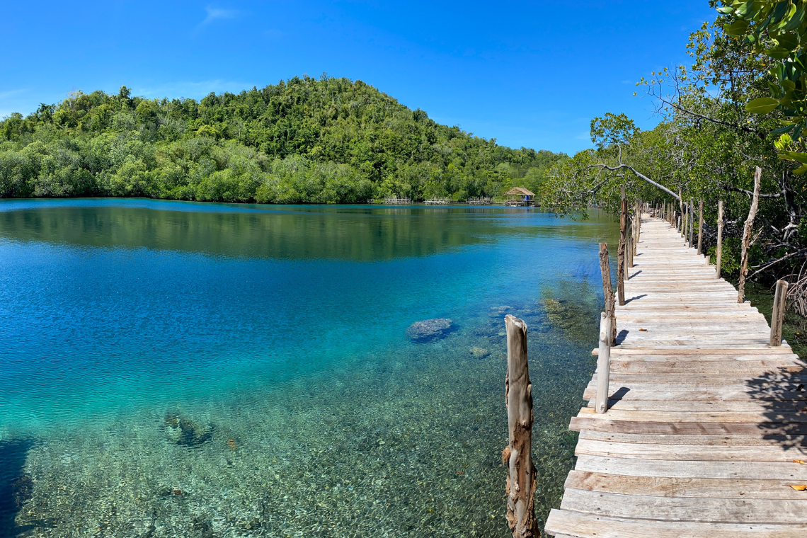 Papua Explorers Dive Resort Papua Explorers Dive Resort