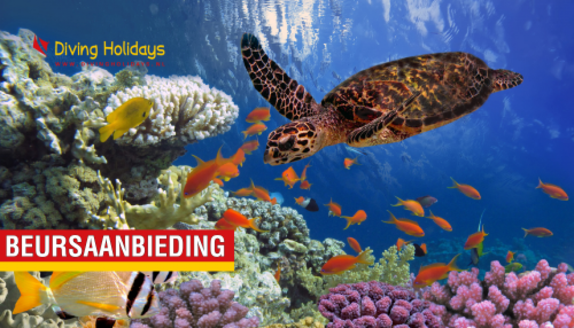 Beursaanbiedingen Diving Holidays Beursaanbiedingen Diving Holidays