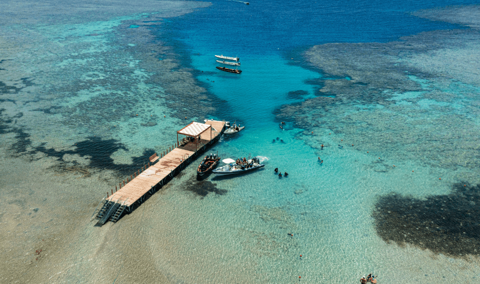 Red Sea Diving Safari - Marsa Shagra