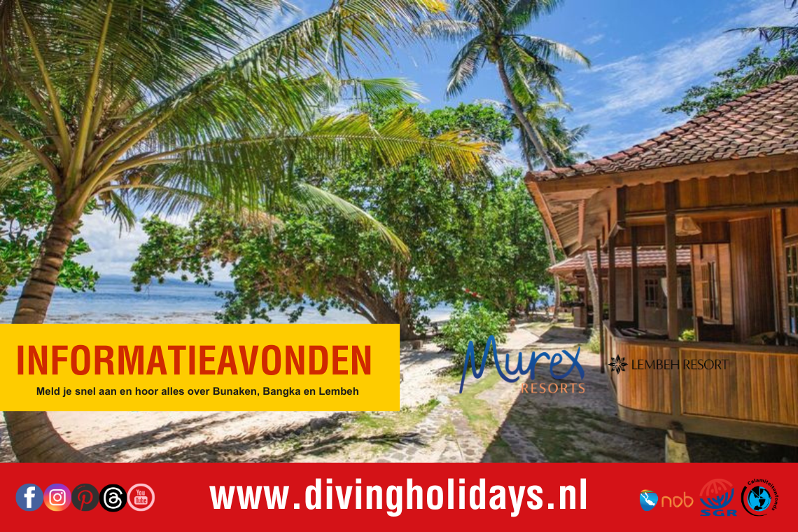 Informatieavonden 2026