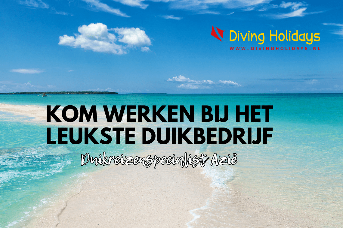 Diving Holidays vacature Diving Holidays vacature