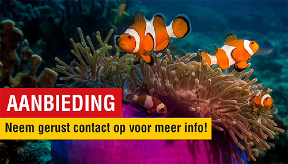 Diving Holidays aanbieding Diving Holidays aanbieding