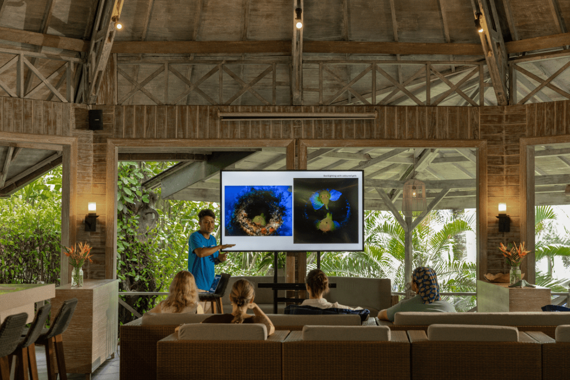 Critters Lembeh