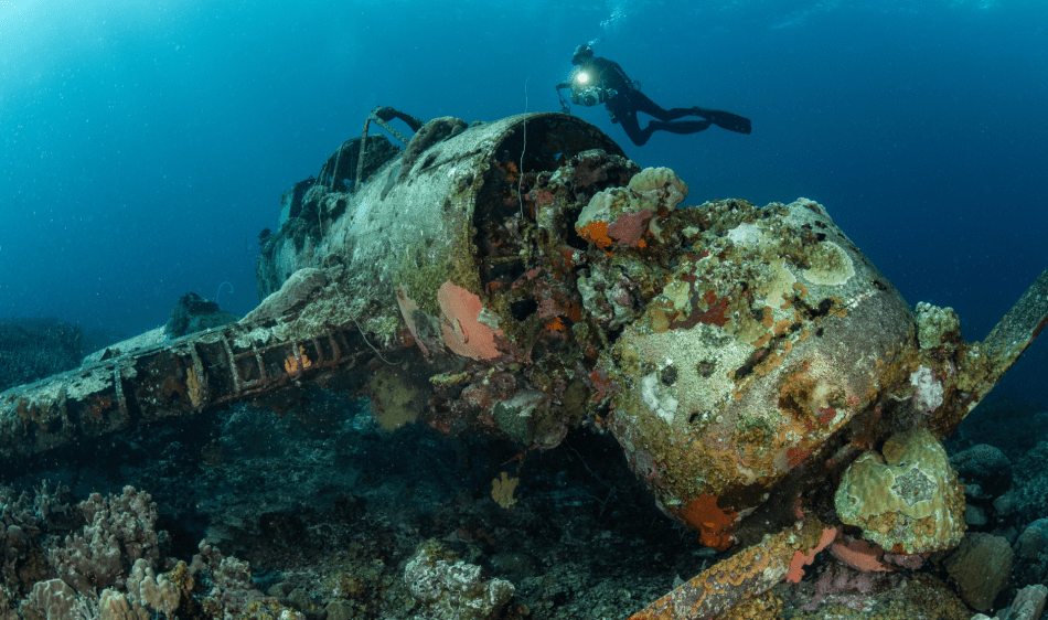 Palau Aggressor II