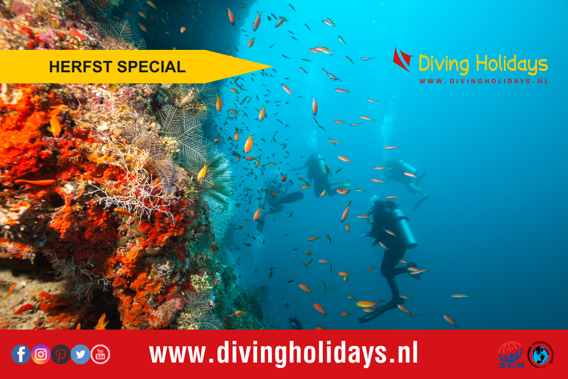 Herfstspecial Diving Holidays Herfstspecial Diving Holidays