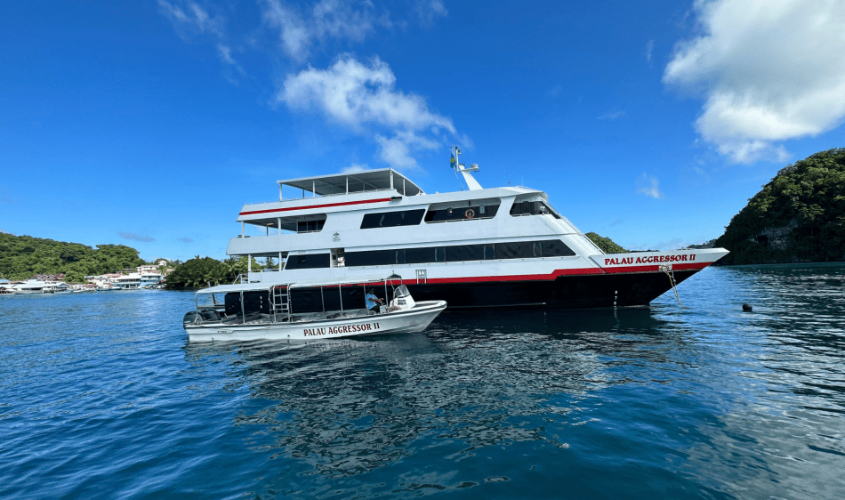 Palau Aggressor II