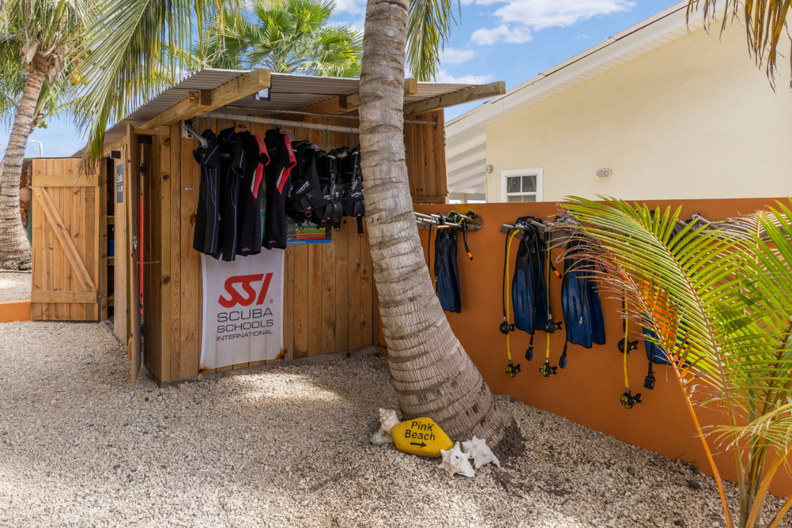 Oasis Guesthouse Scuba School Oasis Guesthouse Scuba School