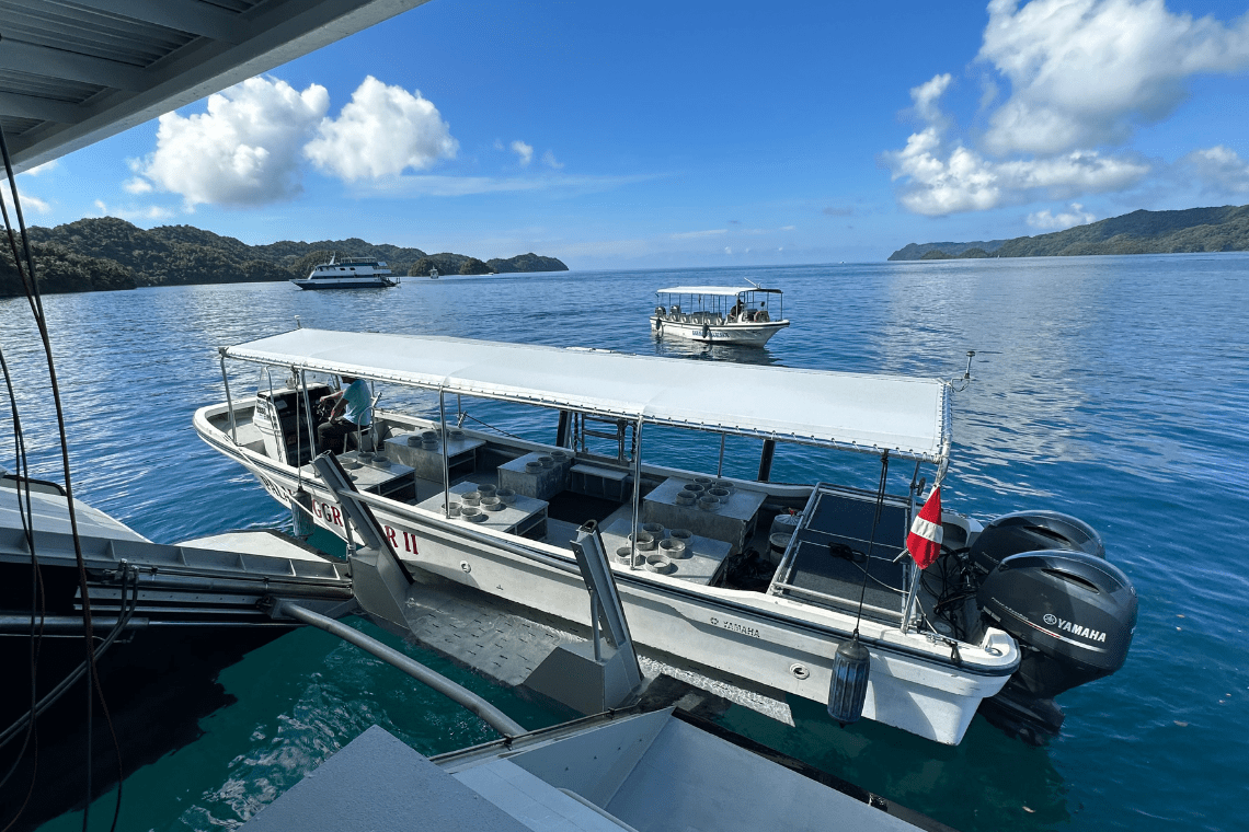 Palau Aggressor II