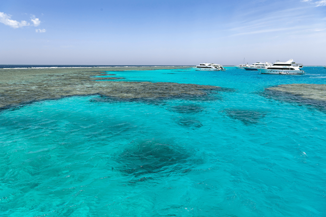 Lahami Bay Resort Extra Divers