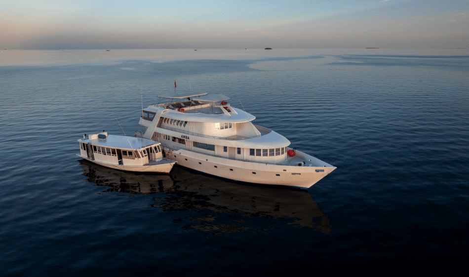 Amba Liveaboard Amba Liveaboard
